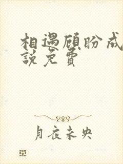 相遇顾盼成欢小说免费