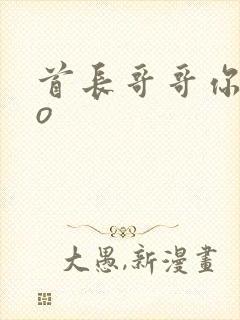 首长哥哥你好po