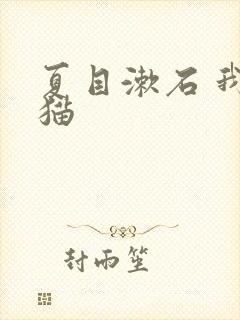 夏目漱石 我是猫