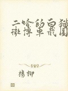 二哈的白猫师尊微博车截图