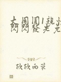 大团圆1亲情会闪闪发光免费