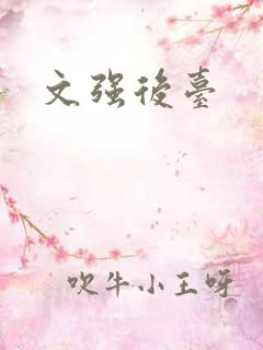 文强后台