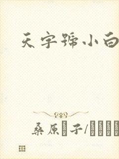 天字号小白脸