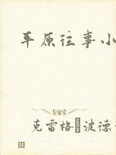 平原往事小说
