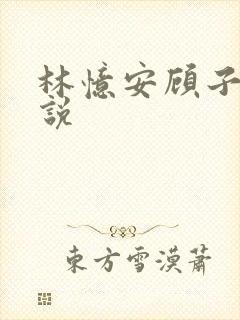 林忆安顾子铭小说