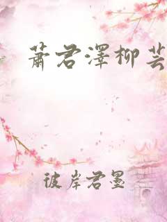 萧君泽柳芸小说