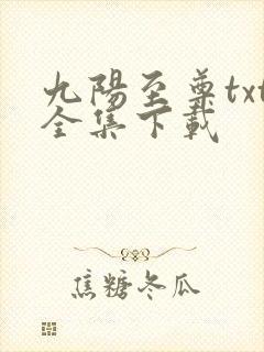 九阳至尊txt全集下载