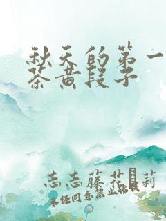 秋天的第一杯奶茶黄段子