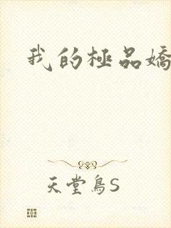 我的极品娇妻