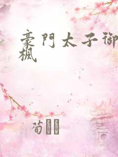 豪门太子御母秦枫