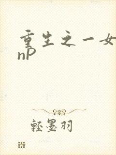 重生之一女九龙nP
