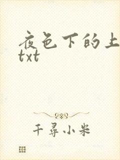 夜色下的上海滩txt