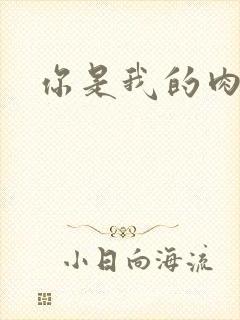 你是我的肉便器