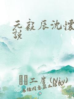 元毅辰沈怀妆小说