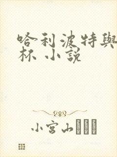 哈利波特与火焰杯 小说