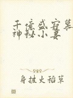 千亿盛宠慕少的神秘小妻