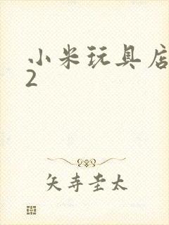 小米玩具店老板2