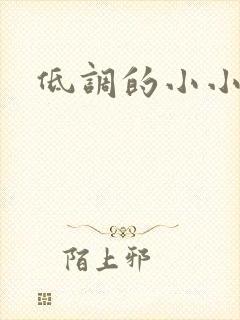 低调的小小宫女