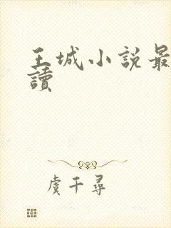 王城小说最近阅读