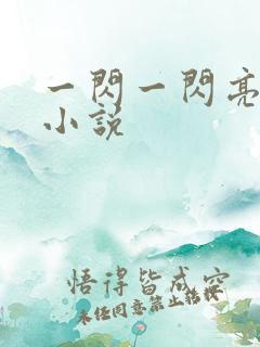 一闪一闪亮晶晶小说