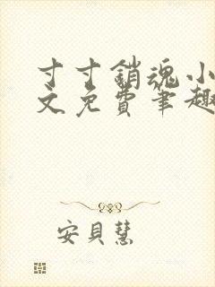 寸寸销魂小说全文免费笔趣阁