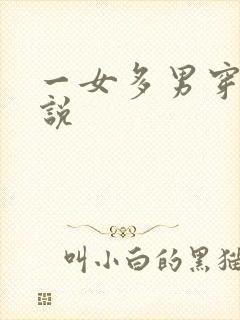 一女多男穿越小说