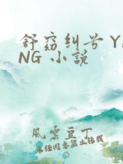 舒窈纠兮 YING 小说