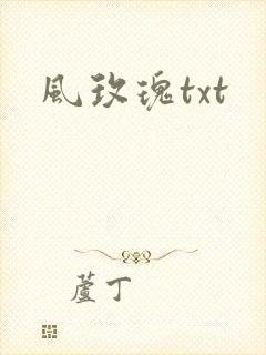 风玫瑰txt