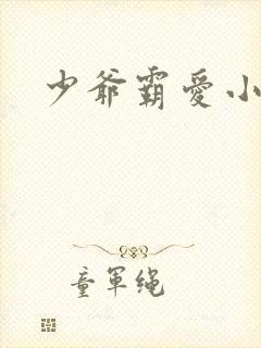 少爷霸爱小丫头