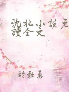 沈北小说免费阅读全文