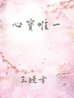 心宝唯一