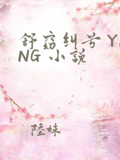舒窈纠兮 YING 小说