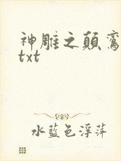 神雕之颠鸾倒凤txt