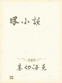 眼小说
