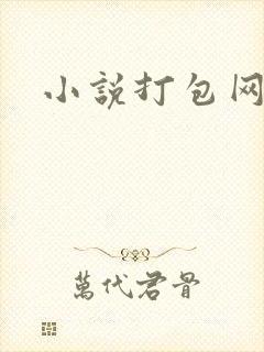 小说打包网