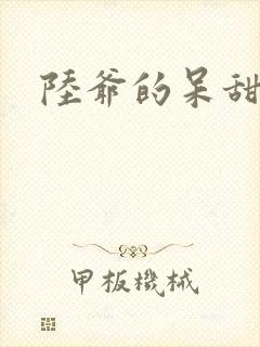 陆爷的呆甜萌妻