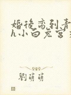 婚后脔到青梅哭h小白兔宫交h