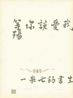 等你说爱我之云殇