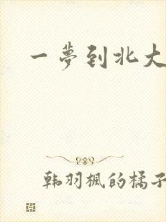 一梦到北大