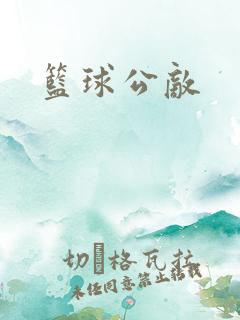 篮球公敌
