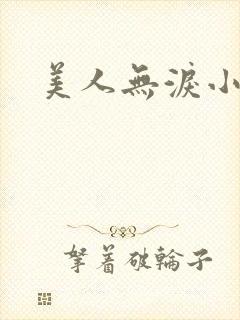 美人无泪小说