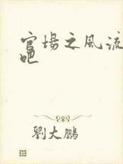 官场之风流人生吧