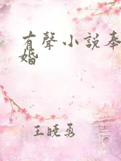 有声小说奉子成婚