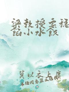 梁教授要稳住肉馅小水饺