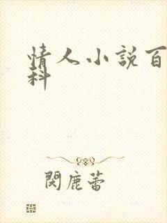 情人小说百度百科