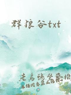 群狼谷txt