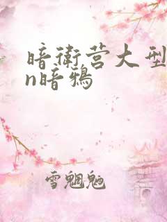 暗卫营大型hpn暗鸦