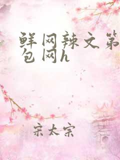 鲜网辣文第二书包网h