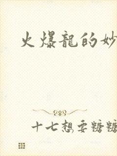 火爆龙的妙管家