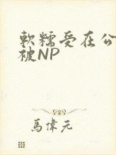 软糯受在公交车被NP